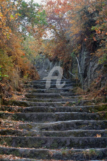 「The stairway to hea…」というタイトルの写真撮影 Slydesignによって, オリジナルのアートワーク, デジタル