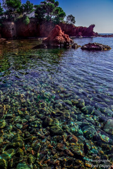 Photographie intitulée "Anthéor," par Frederic Dupuy, Œuvre d'art originale, Photographie numérique