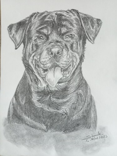 Représentation d'un Rottweiler réalisé aux crayons 제목이 "Représentation d'un…"인 그림 Gilles Staub (LeCrayonAgile)로, 원작, 연필