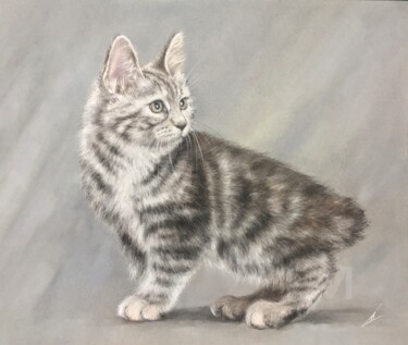 图画 标题为“Bobtail cat” 由Irene_art, 原创艺术品, 粉彩