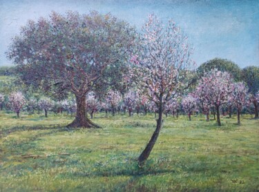Landscape with carob and almond trees Ζωγραφική με τίτλο "Landscape with caro…" από José A Cavaco, Αυθεντικά έργα τέχνης, Λάδι