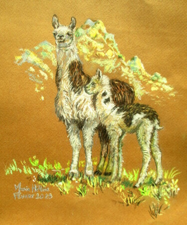 图画 标题为“Les lamas” 由Bilitis, 原创艺术品, 粉彩