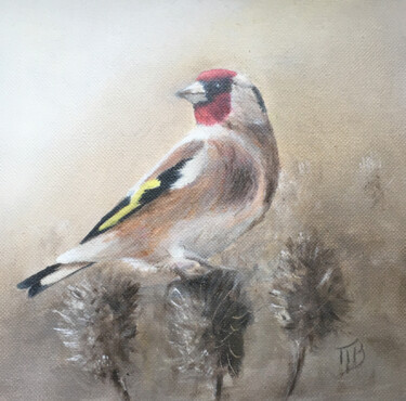 Goldfinch with 3 carders