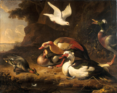 Canards Peinture intitulée "Canards" par Melchior D'Hondecoeter, Œuvre d'art originale, Huile