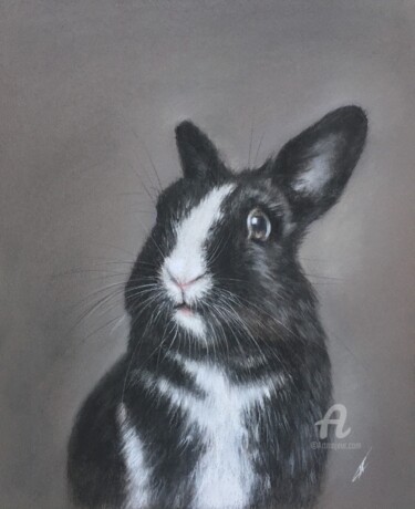 Black bunny Tekening getiteld "Black bunny" door Irene_art, Origineel Kunstwerk, Pastel