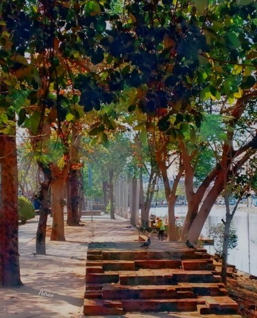One Step at a Time. Photography titled "One Step at a Time." by Patrick John Bennett (Patrice), Original Artwork, Digital Photography