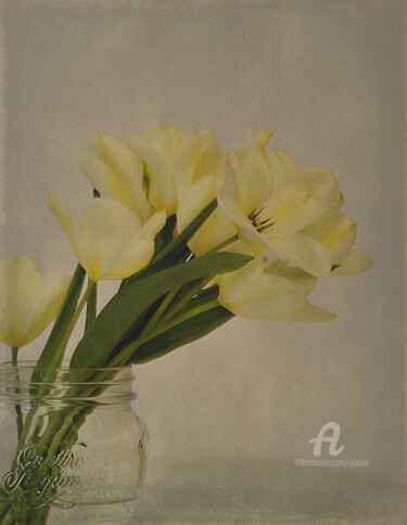 Photography titled "LE QUATTRO STAGIONI…" by Astr, Original Artwork, Non Manipulated Photography Mounted on Other rigid panel