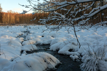 Photography titled "In the Winter Fores…" by Jarek Rufer, Original Artwork, Digital Photography
