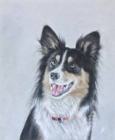 「Border Collie portr…」というタイトルの描画 Irene_artによって, オリジナルのアートワーク, パステル