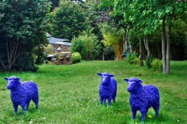 "Trois moutons bleus" başlıklı Fotoğraf Ernest Tosetti tarafından, Orijinal sanat, Dijital Fotoğrafçılık