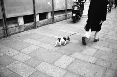 Photography titled "14005" by Jérome Chuilon, Original Artwork, Analog photography