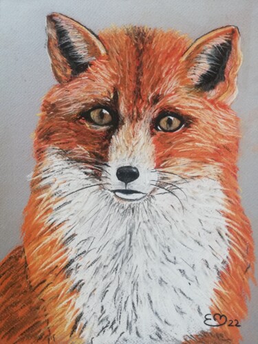 제목이 "Renard curieux"인 그림 Élisa Brun로, 원작, 파스텔
