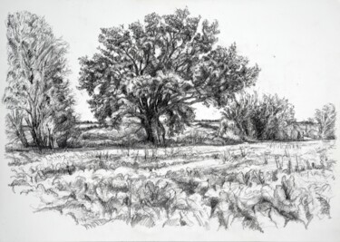 Holding the ground. Drawing titled "Holding the ground." by Maxine Cameron, Original Artwork, Graphite