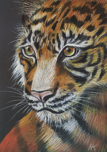 The Tiger's Gaze Original oil pastel work animal painting Desenho intitulada "The Tiger's Gaze Or…" por Nadezhda Kokorina, Obras de arte originais, Pastel