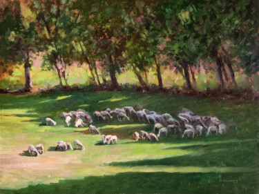 Peinture intitulée "Troupeau au Mazan" par Pascal Giroud, Œuvre d'art originale, Huile