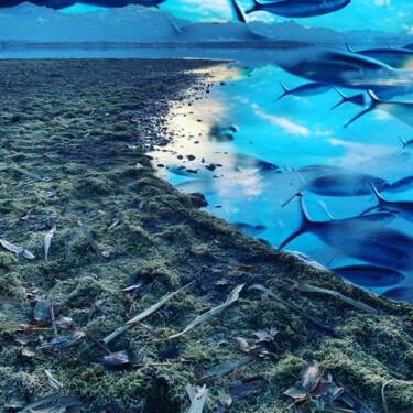 Φωτογραφία με τίτλο "Fische im See" από Oliver Steiner, Αυθεντικά έργα τέχνης, Ψηφιακή φωτογραφία