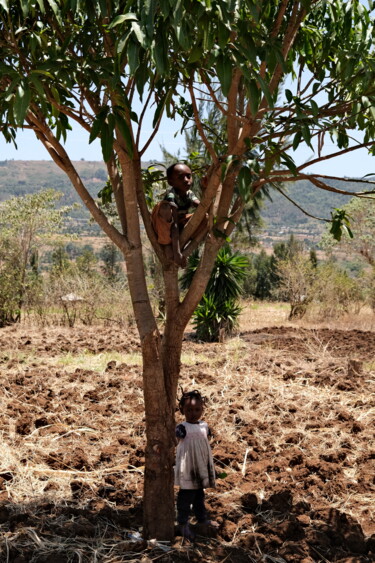 Des enfants dans l'arbre