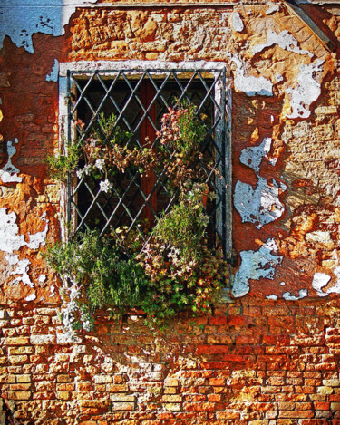 Digital Arts titled "VENICE WINDOW" by Stephen Conroy, Original Artwork, Digital Photography