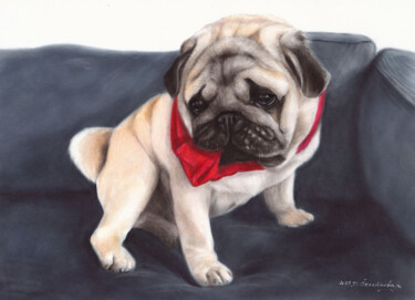 Peinture intitulée "Pug" par Danguole Serstinskaja, Œuvre d'art originale, Huile