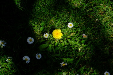 Photographie intitulée "3248" par Jérome Chuilon, Œuvre d'art originale, Photographie numérique