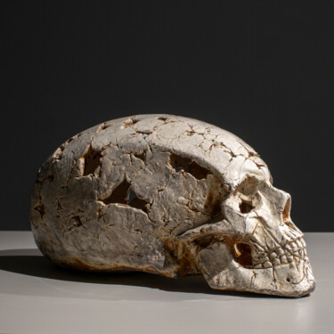 雕塑 标题为“Skull #9 / ocher” 由Oleg Davydenko, 原创艺术品, 陶瓷