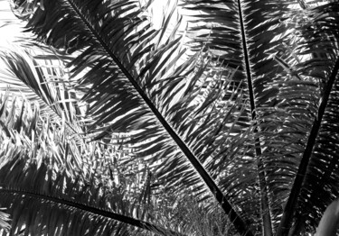 Photography titled "Every Moment 1" by Sergio Benetti, Original Artwork, Digital Photography