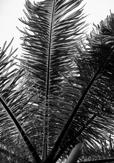 Photography titled "Every Moment 10" by Sergio Benetti, Original Artwork, Digital Photography
