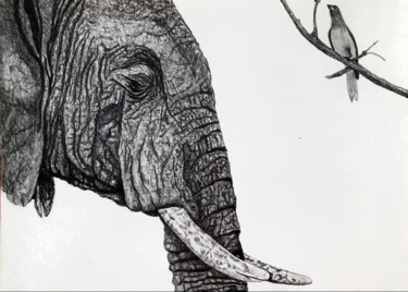 图画 标题为“symbiose animalière” 由Sandrine Piegay, 原创艺术品, 木炭