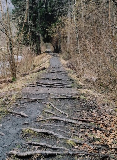 Photographie intitulée "Le sentier" par Lidevi, Œuvre d'art originale, Photographie manipulée