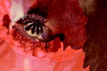 摄影 标题为“red …” 由Uwe Kobold, 原创艺术品, 数码摄影