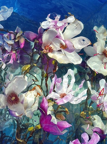 Fotografía titulada "melange de tulipes" por Aquartistiq, Obra de arte original, Fotografía digital