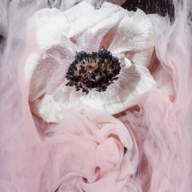 摄影 标题为“Ephemeral Flowers #2” 由Sara Gentilini, 原创艺术品, 数码摄影