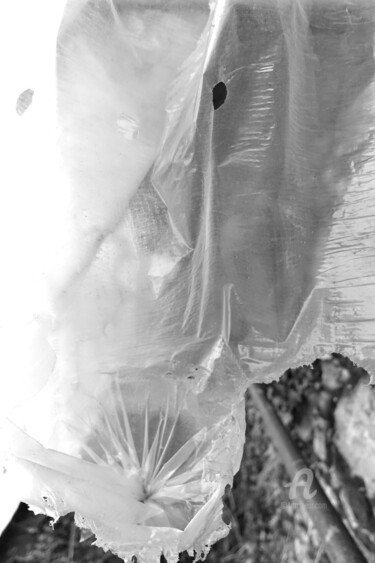 Photographie intitulée "Beautiful monster" par Alen Gurovic, Œuvre d'art originale, Photographie numérique