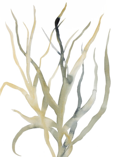 Painting titled "Grass Study No. 11" by Elizabeth Becker, Original Artwork, Watercolor