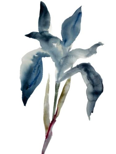 绘画 标题为“Iris No. 44” 由Elizabeth Becker, 原创艺术品, 水彩