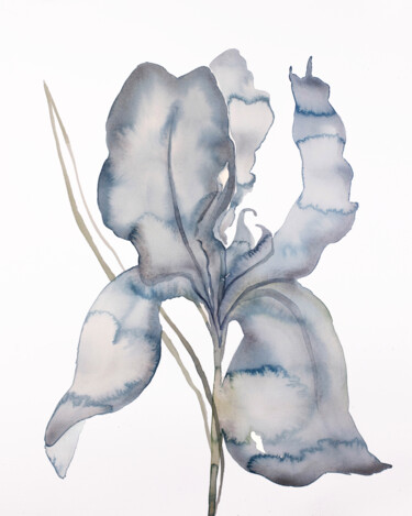 Iris No. 174 绘画 标题为“Iris No. 174” 由Elizabeth Becker, 原创艺术品, 水彩