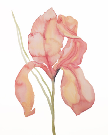 绘画 标题为“Iris No. 173” 由Elizabeth Becker, 原创艺术品, 水彩