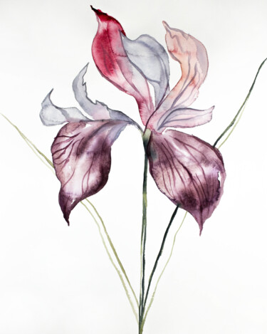 Iris No. 102 绘画 标题为“Iris No. 102” 由Elizabeth Becker, 原创艺术品, 水彩