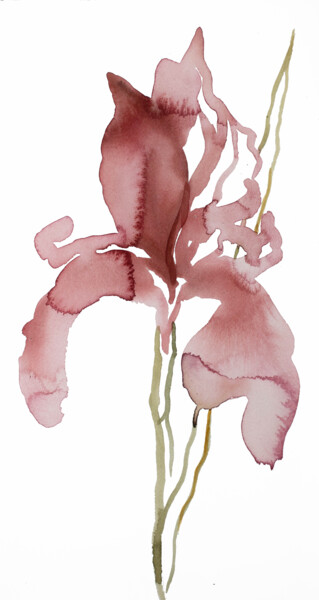 绘画 标题为“Iris No. 142” 由Elizabeth Becker, 原创艺术品, 水彩
