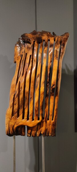 Scultura intitolato "CERIDO" da Ivan Fabani, Opera d'arte originale, Legno