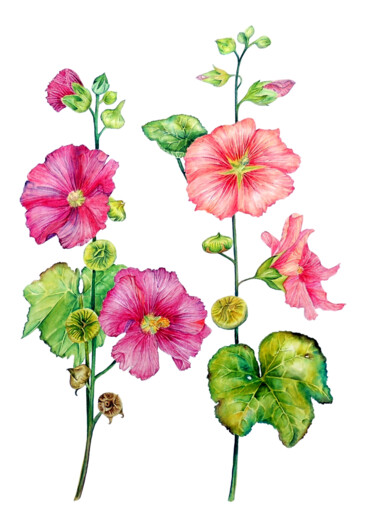 Painting titled "Garden Hollyhocks" by Elizabeth Sadler, Original Artwork, Watercolor