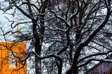 Photography titled "Second Snow 4" by Jarek Rufer, Original Artwork, Non Manipulated Photography