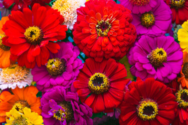 Photographie intitulée "bouquet" par Boris Belkania, Œuvre d'art originale, Photographie numérique