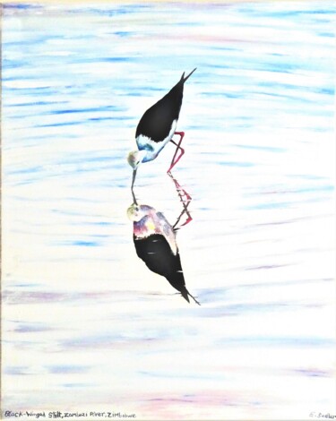 Painting titled "Black-winged Stilt…" by Elizabeth Sadler, Original Artwork, Oil Mounted on Wood Stretcher frame