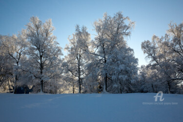 Snow covered trees - Seefeld - Austria Photographie intitulée "Snow covered trees…" par Scott Gregory Banner, Œuvre d'art originale, Photographie numérique