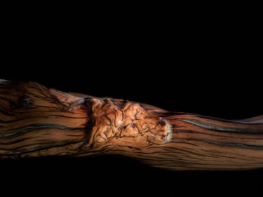 Root sculpture photography Arts numériques intitulée "Root sculpture phot…" par Matt Christine, Œuvre d'art originale, Travail numérique 2D
