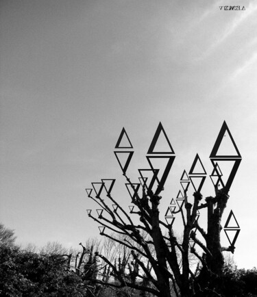 Photography titled "Wisdom will make yo…" by Jean Philippe Desmoulins, Original Artwork, Digital Photography