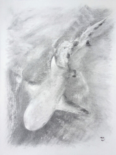 Dessin intitulée "Prédation" par Nathalie Setea, Œuvre d'art originale, Fusain