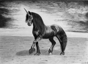 图画 标题为“Licorne” 由Jendrw, 原创艺术品, 木炭