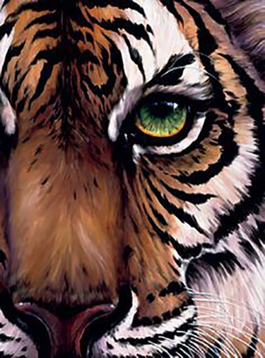 Eye of the Tiger 绘画 标题为“Eye of the Tiger” 由Aryawansa Kumarasinghe, 原创艺术品, 油 安装在木质担架架上